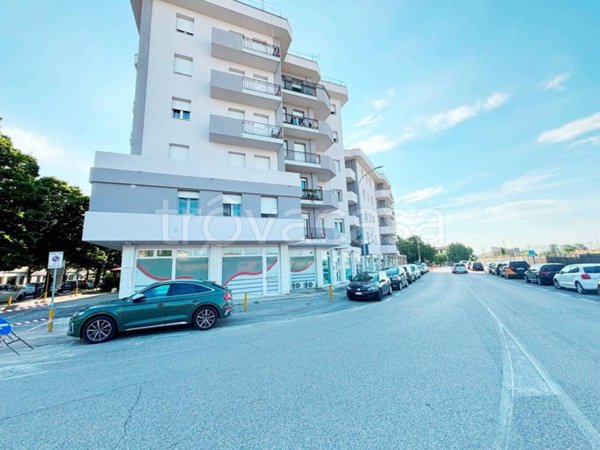 appartamento in vendita a Nogara