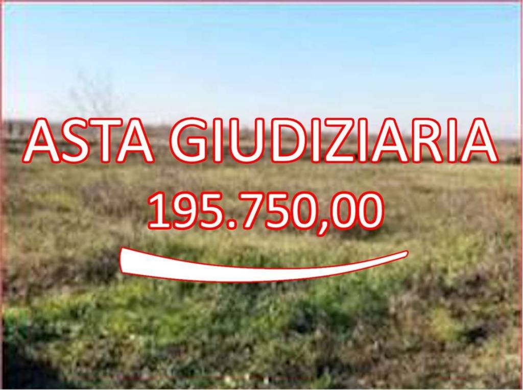 terreno agricolo in vendita a Nogara