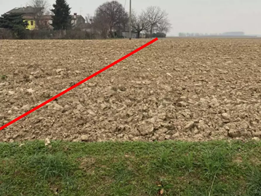 terreno agricolo in vendita a Nogara