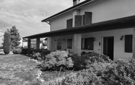 appartamento in vendita a Nogara