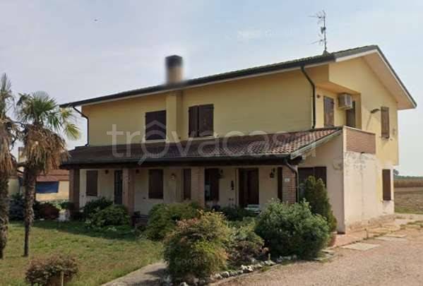 appartamento in vendita a Nogara