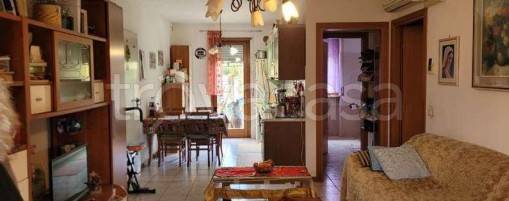 appartamento in vendita a Nogara