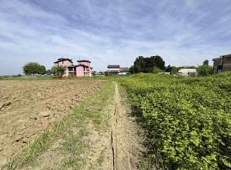 terreno edificabile in vendita a Nogara