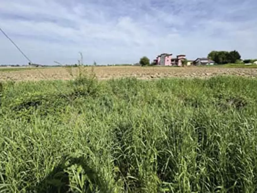 terreno edificabile in vendita a Nogara