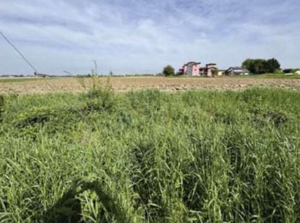 terreno edificabile in vendita a Nogara