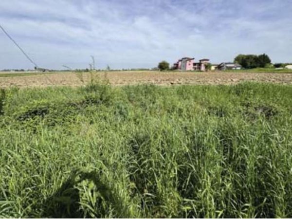 terreno edificabile in vendita a Nogara