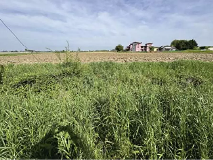 terreno edificabile in vendita a Nogara
