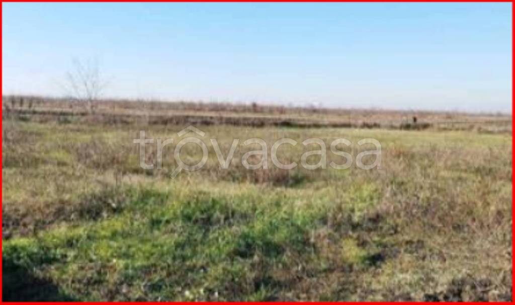 terreno agricolo in vendita a Nogara