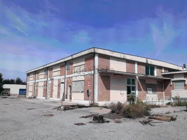 locale di sgombero in vendita a Nogara