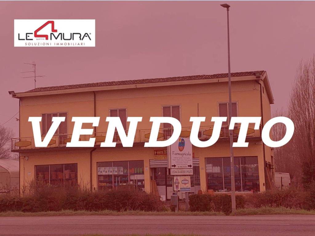 negozio in vendita a Nogara