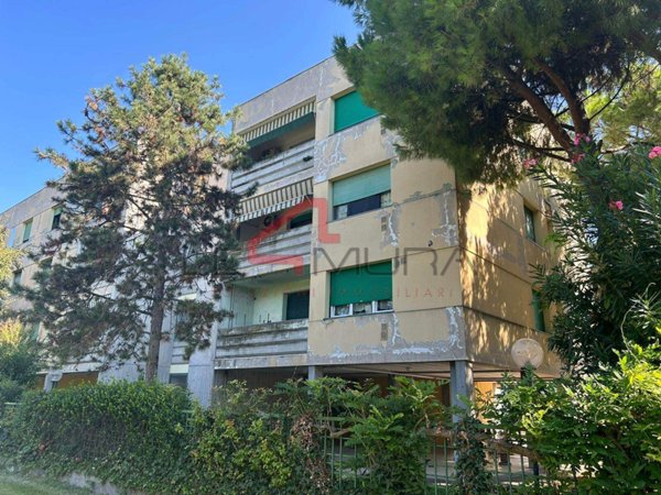 appartamento in vendita a Nogara