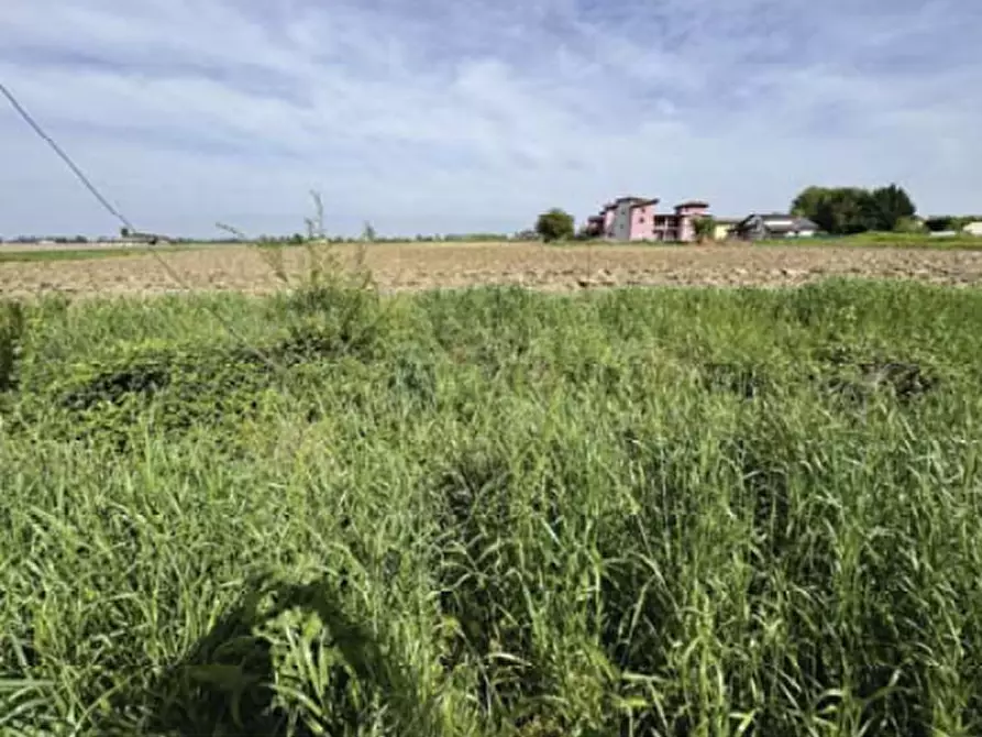 terreno edificabile in vendita a Nogara