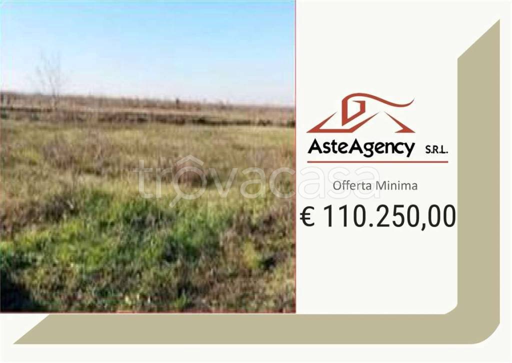 terreno agricolo in vendita a Nogara