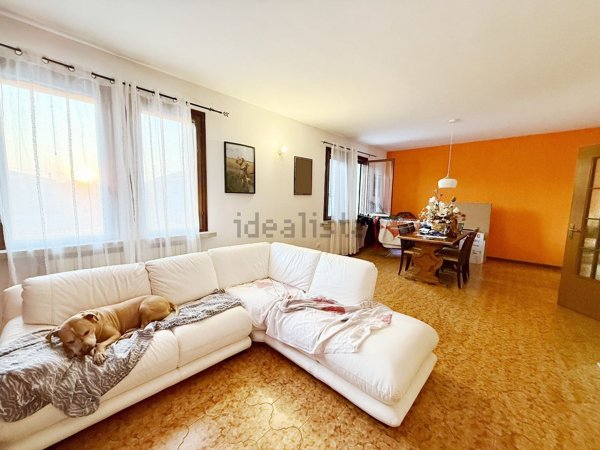 appartamento in vendita a Nogara in zona Caselle