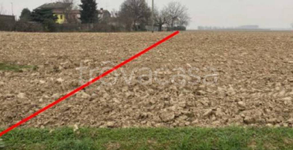 terreno edificabile in vendita a Nogara