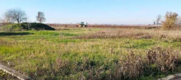 terreno edificabile in vendita a Nogara