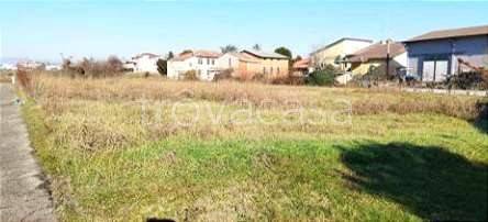 terreno agricolo in vendita a Nogara
