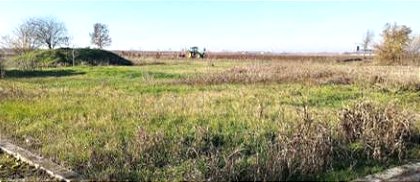 terreno agricolo in vendita a Nogara