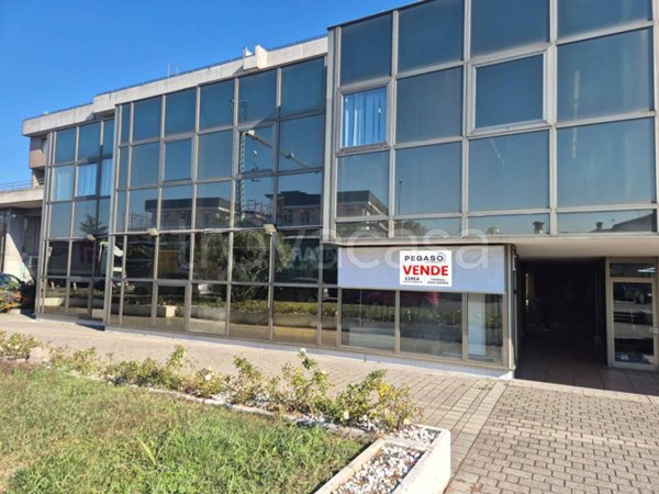 negozio in vendita a Nogara