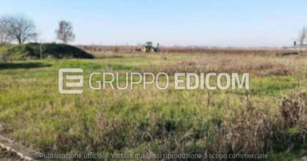 terreno agricolo in vendita a Nogara