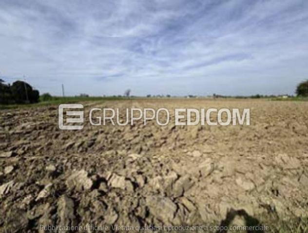 terreno agricolo in vendita a Nogara