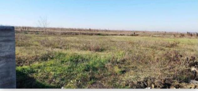 terreno agricolo in vendita a Nogara