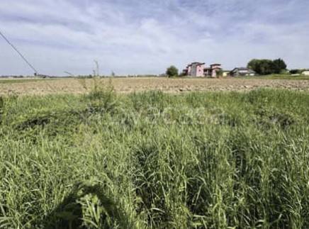 terreno agricolo in vendita a Nogara