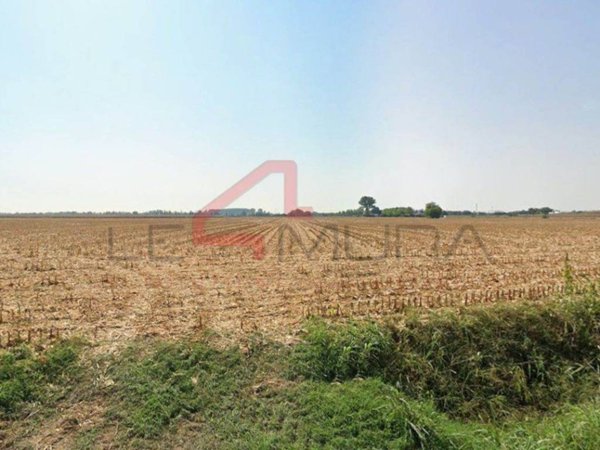 terreno agricolo in vendita a Nogara in zona Montalto