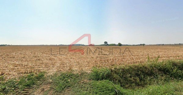 terreno agricolo in vendita a Nogara in zona Montalto