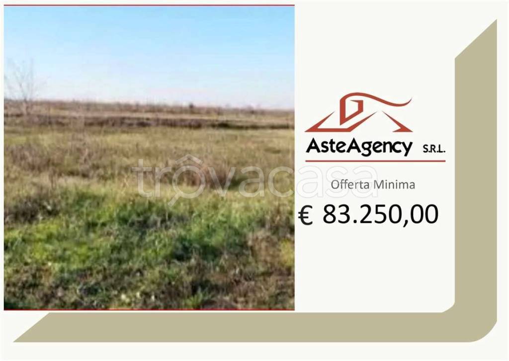 terreno agricolo in vendita a Nogara