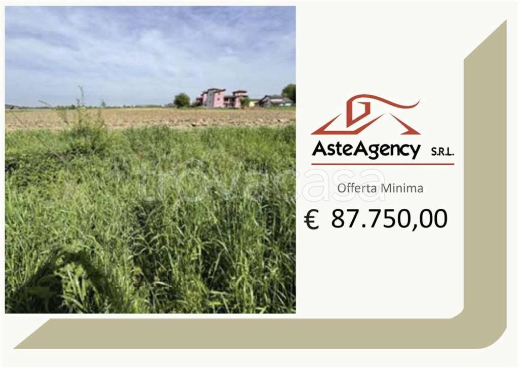 terreno agricolo in vendita a Nogara