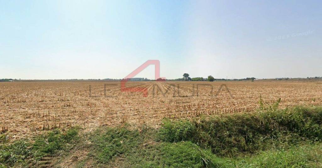 terreno agricolo in vendita a Nogara in zona Montalto