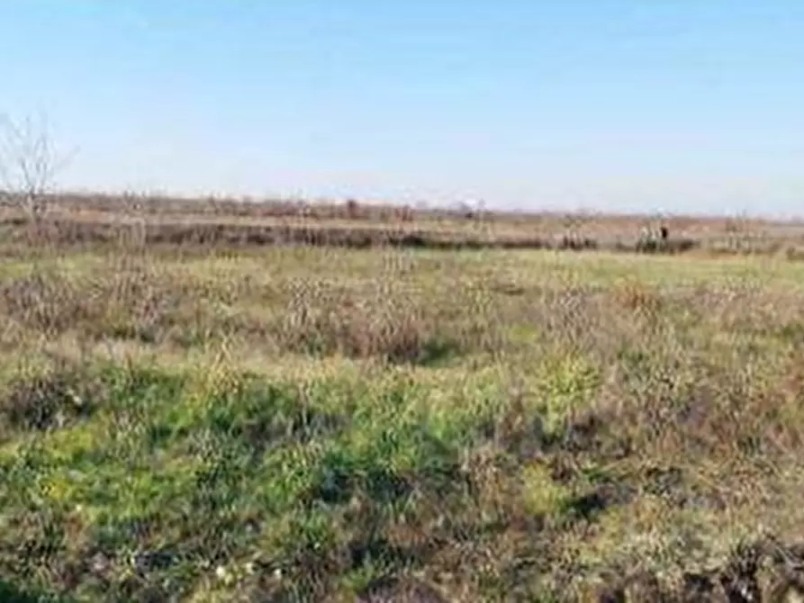 mansarda in vendita a Nogara