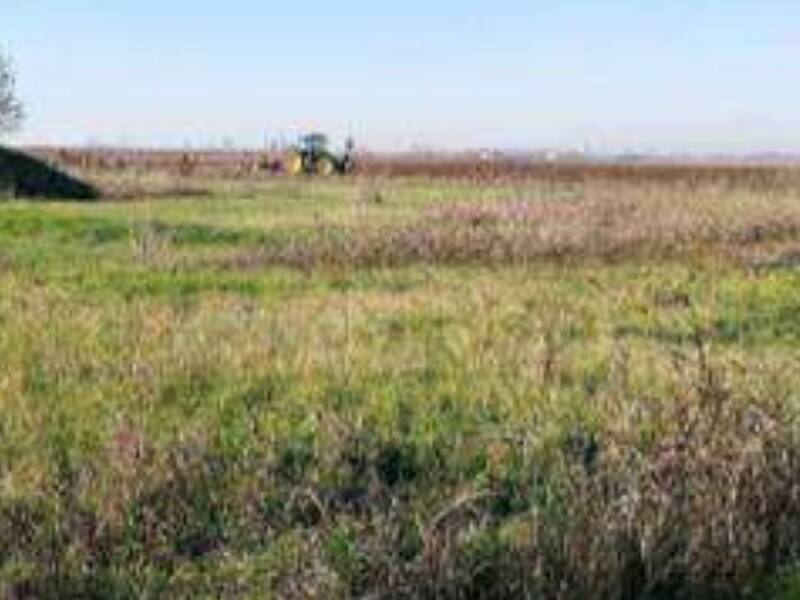 terreno edificabile in vendita a Nogara