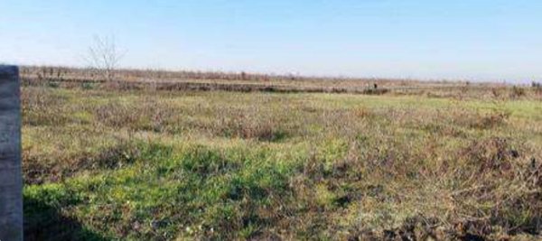 terreno edificabile in vendita a Nogara