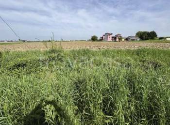 appartamento in vendita a Nogara