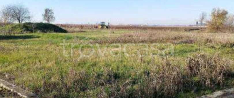 monolocale in vendita a Nogara