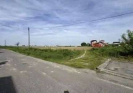 terreno edificabile in vendita a Nogara