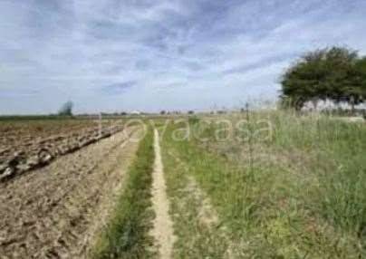 monolocale in vendita a Nogara