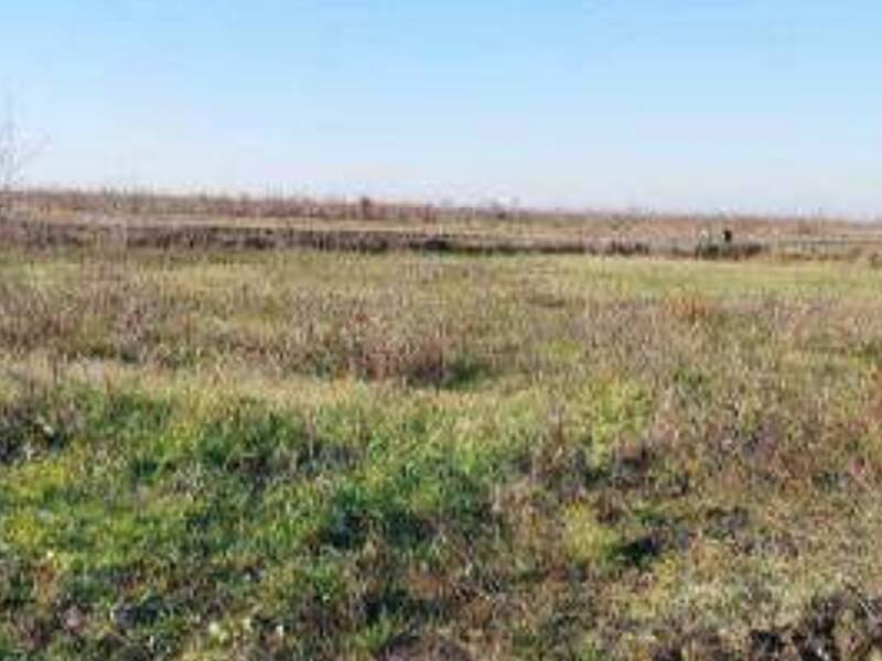 terreno edificabile in vendita a Nogara