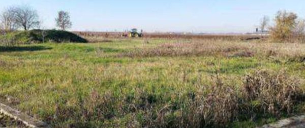 terreno edificabile in vendita a Nogara