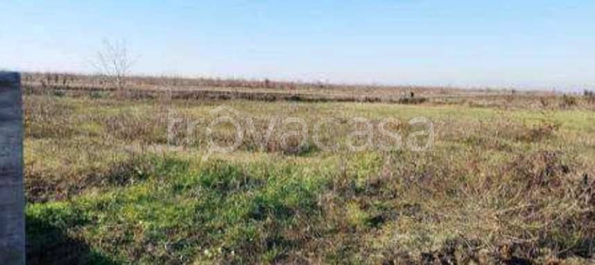 monolocale in vendita a Nogara