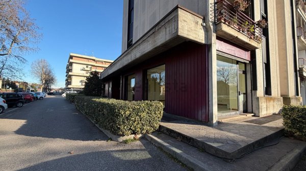 loft in vendita a Nogara