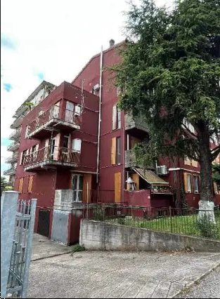 appartamento in vendita a Nogara