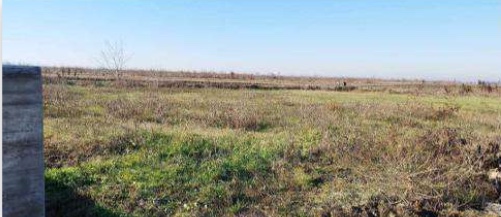 terreno edificabile in vendita a Nogara