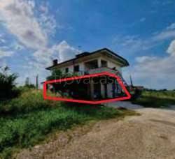 appartamento in vendita a Nogara