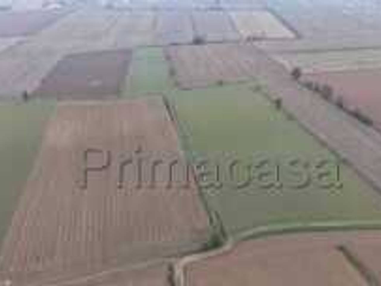 terreno agricolo in vendita a Nogara