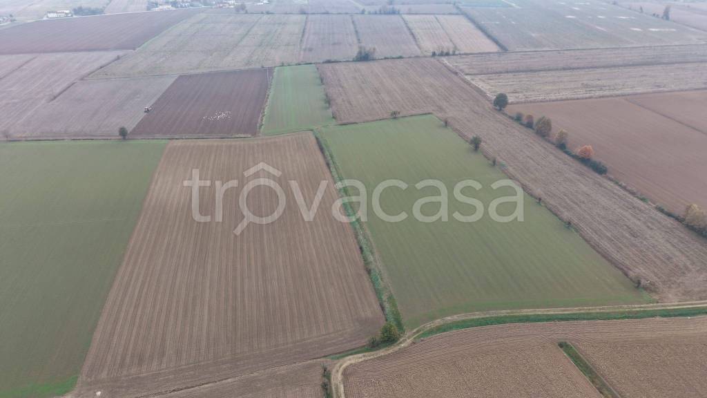 terreno agricolo in vendita a Nogara