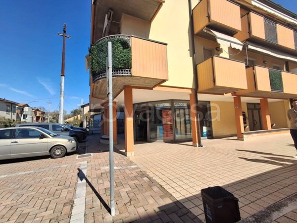 appartamento in vendita a Nogara in zona Caselle