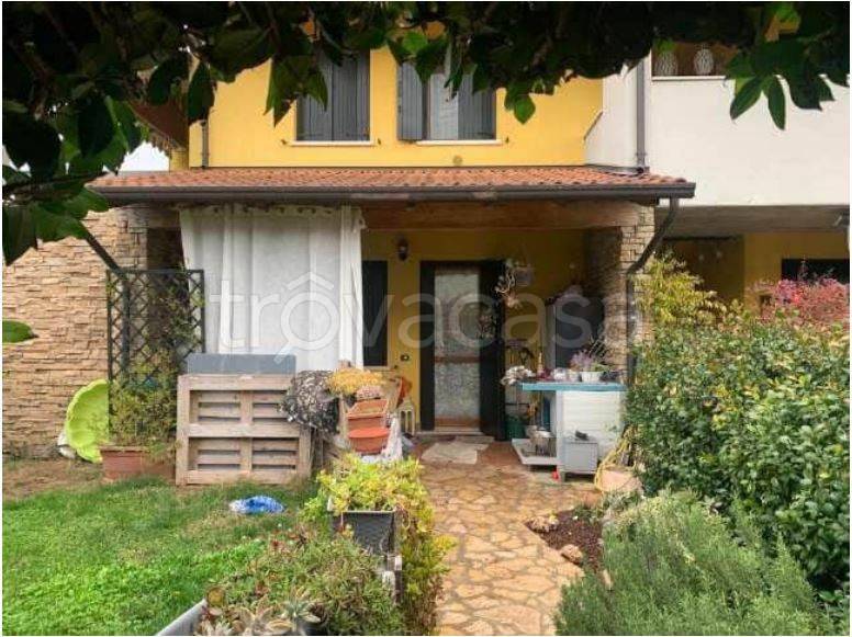 appartamento in vendita a Nogara in zona Caselle